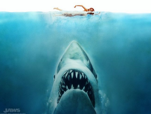sharks, sharks are trending, katy perry sharks, babies, trending , jaws, movies, jaws 40th anniversary