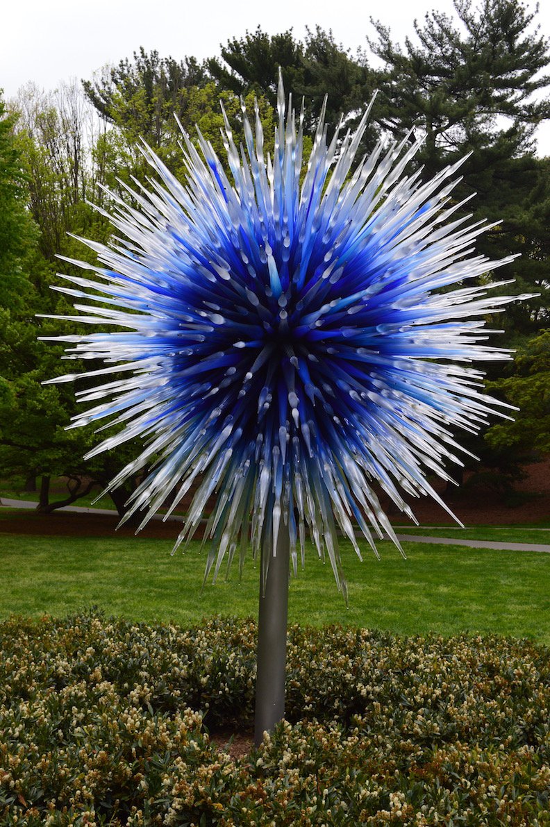 chihuly nybg, new york botanical gardens, chihuly show, nyc art shows, 