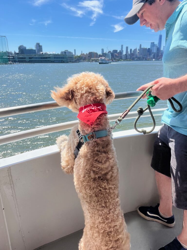 Circle Line puppy cruise, The Pawsitively Puppy Cruise, Circle Line boat tours, NYC skyline, One World Trade, Statue of Liberty boat cruise, NYC sightseeing, NYC dog events, New york city dog owners
